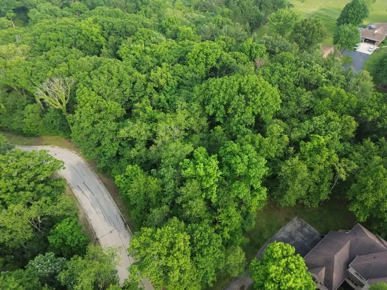 7407 Forest Oak Drive IL
