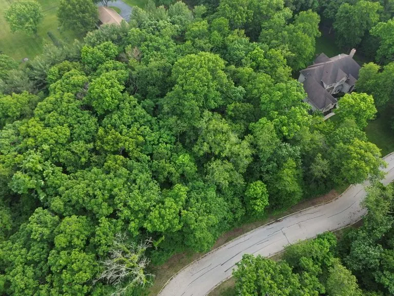 7407 Forest Oak Drive IL