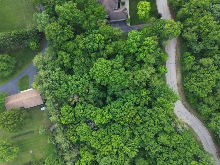 7407 Forest Oak Drive IL