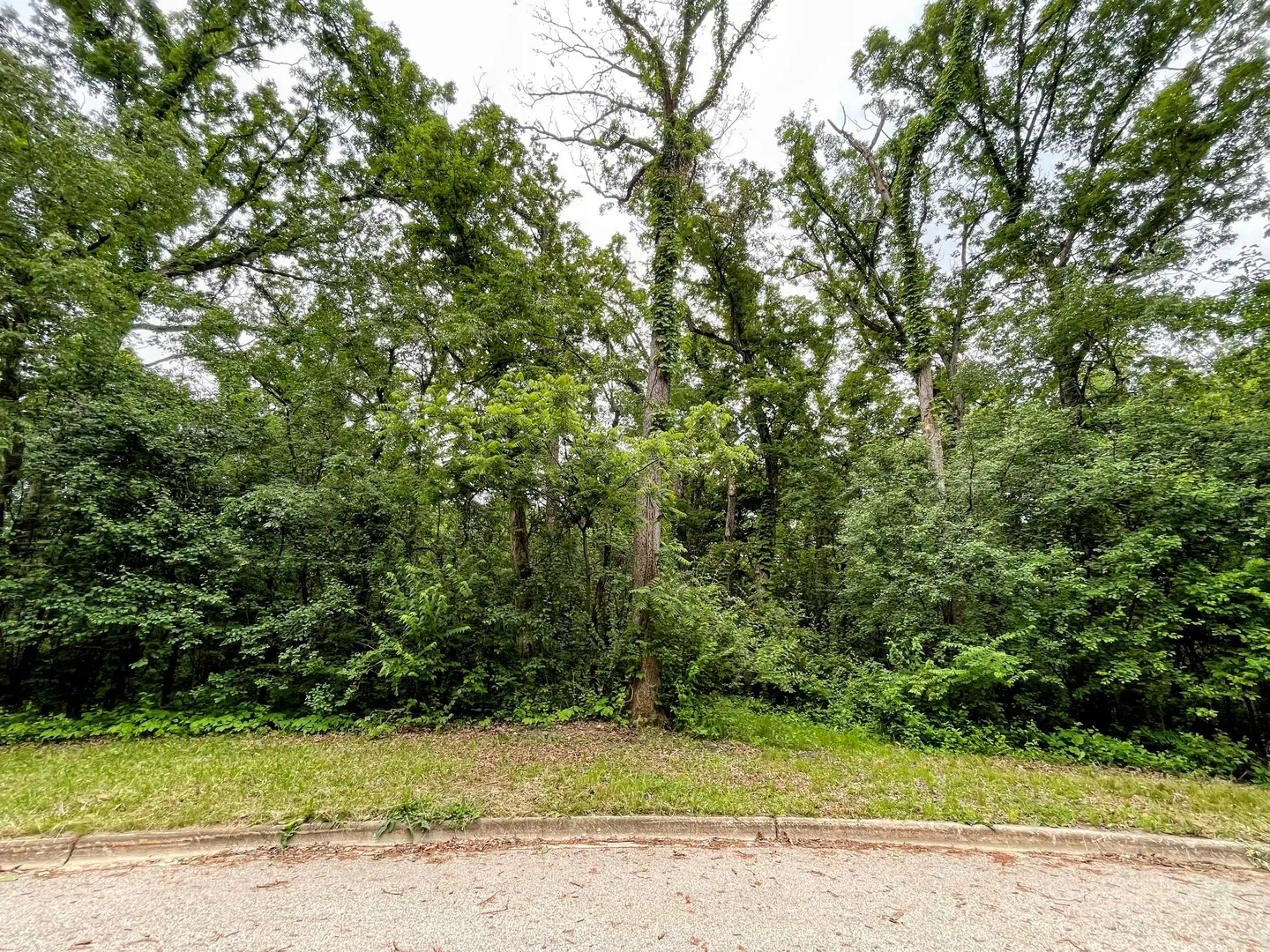 7407 Forest Oak Drive IL