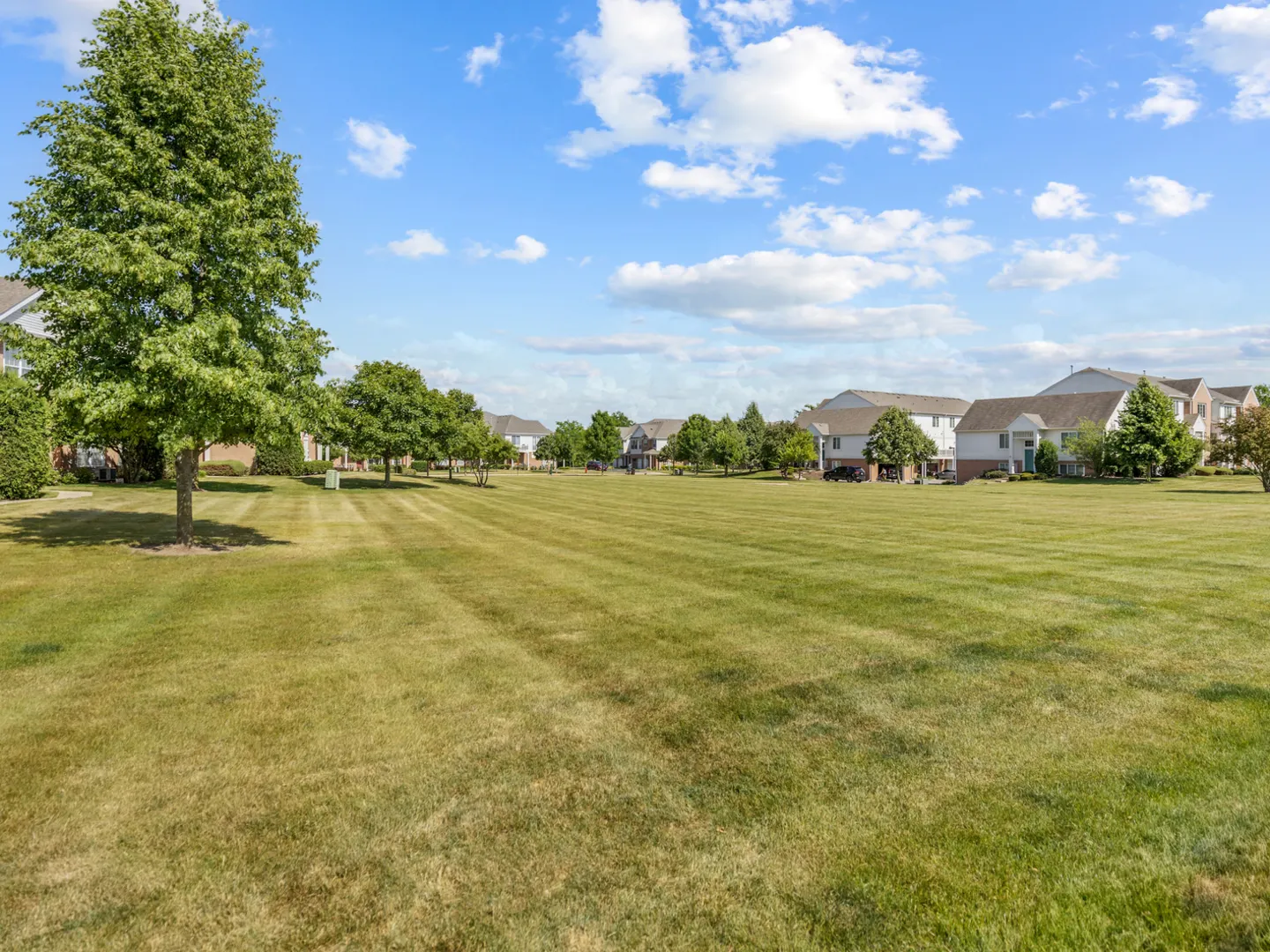 4231 Savoy Lane 4231 IL