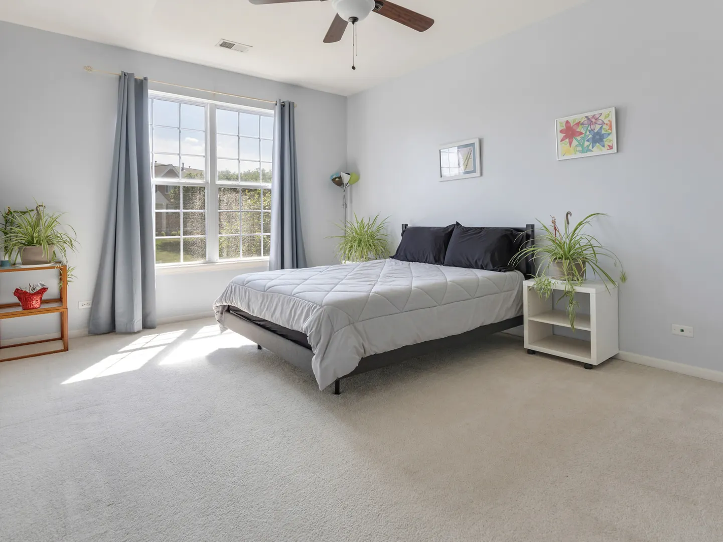4231 Savoy Lane 4231 IL