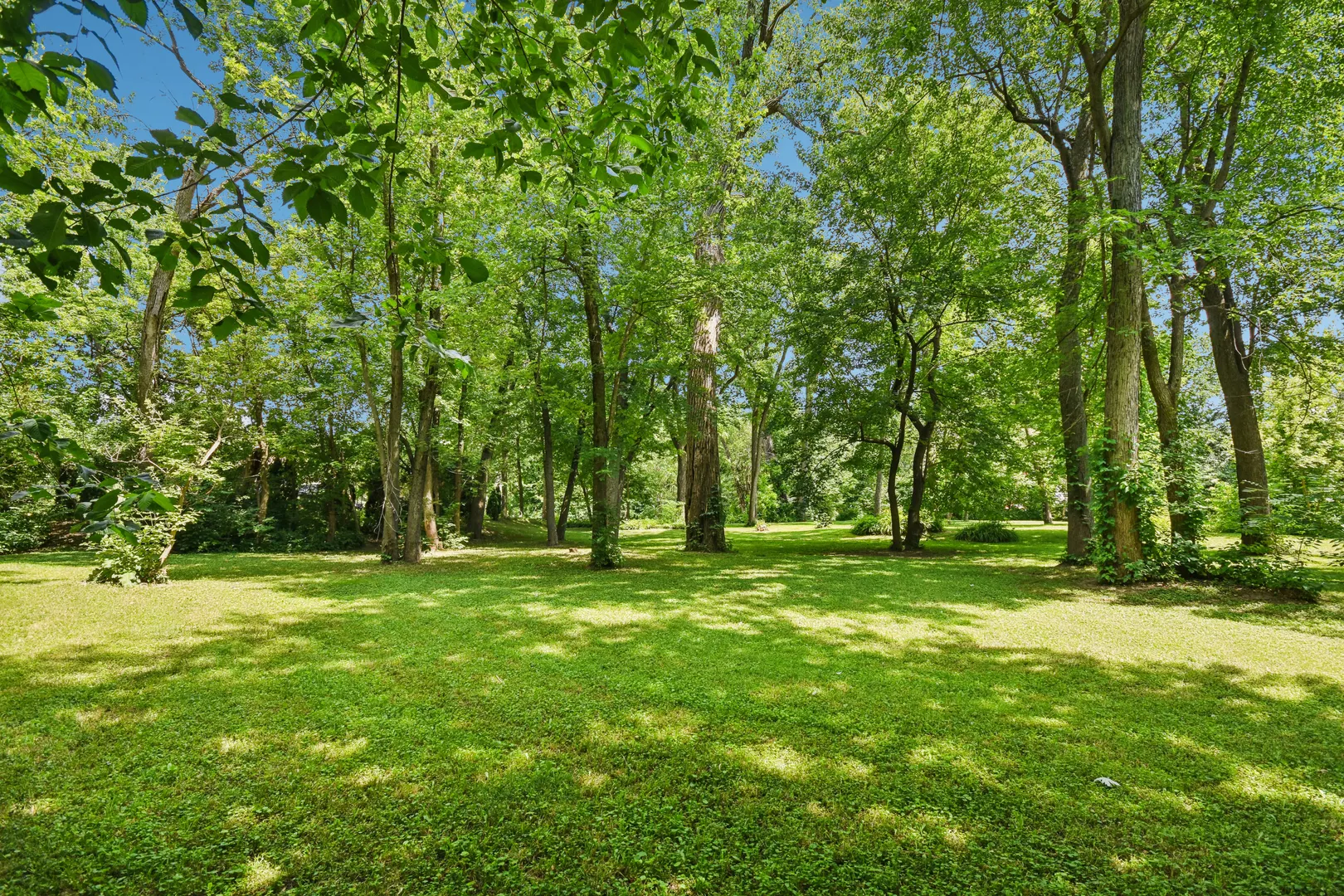 1020 Gladys Avenue IL