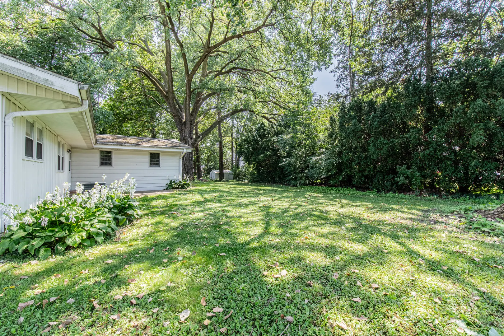 698 Downey Drive IL