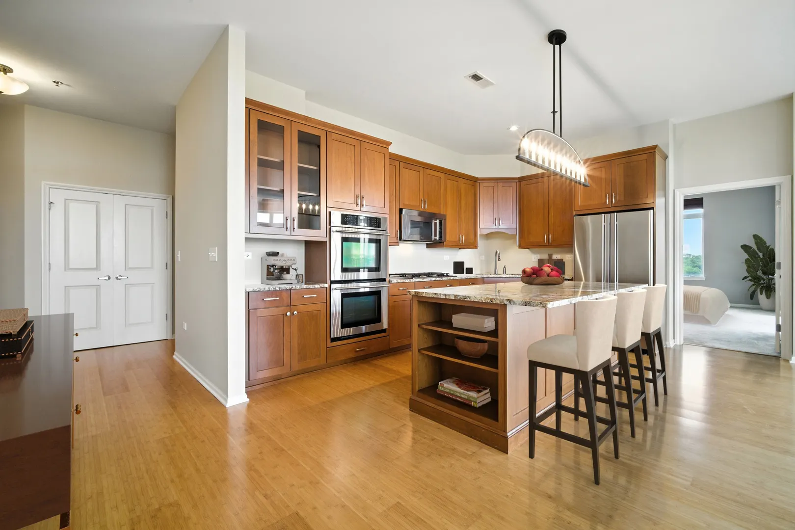 1199 E Port Clinton Road 704 IL