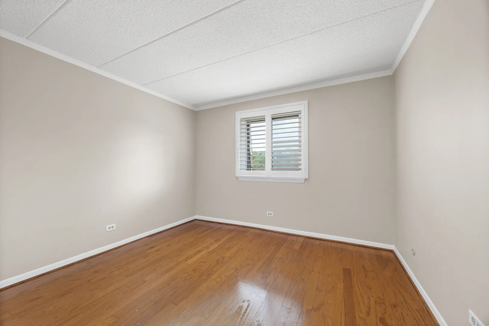 513 Timber Ridge Drive 308 IL