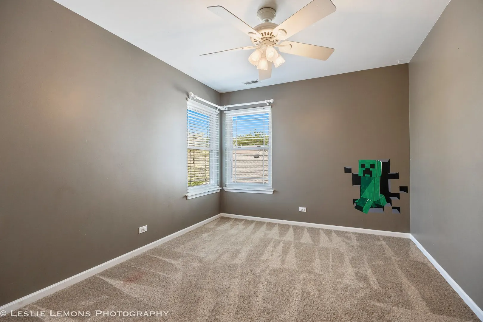 6 Flowerfield Court IL