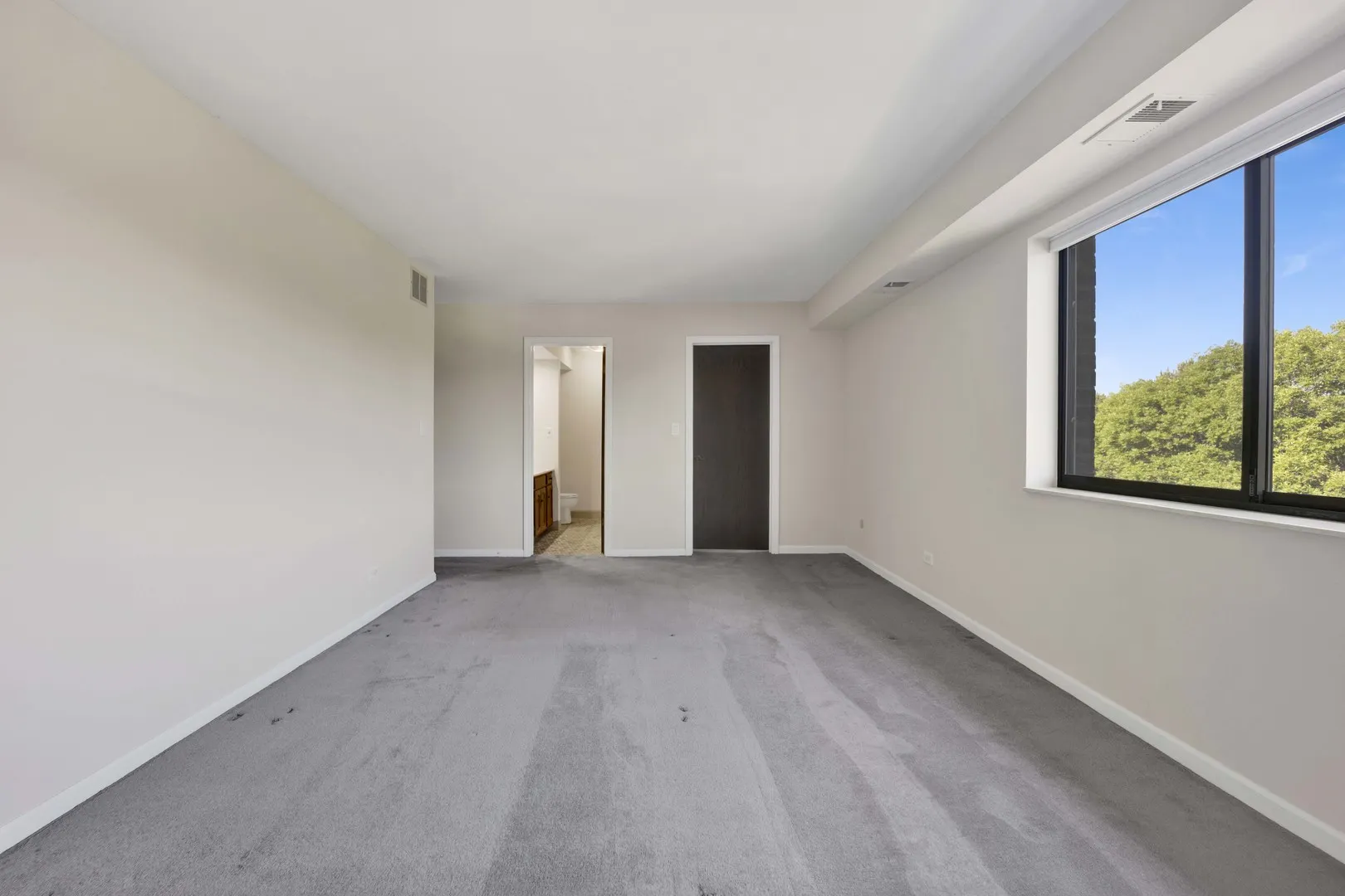 101 OLD OAK Drive 400A IL