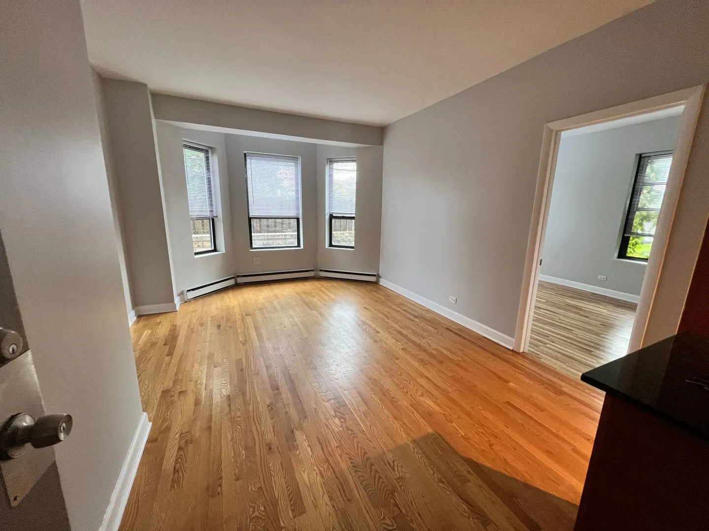 732 W Bittersweet Place 1108 IL