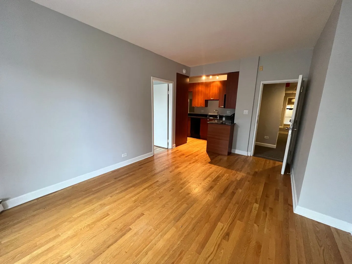 732 W Bittersweet Place 1108 IL