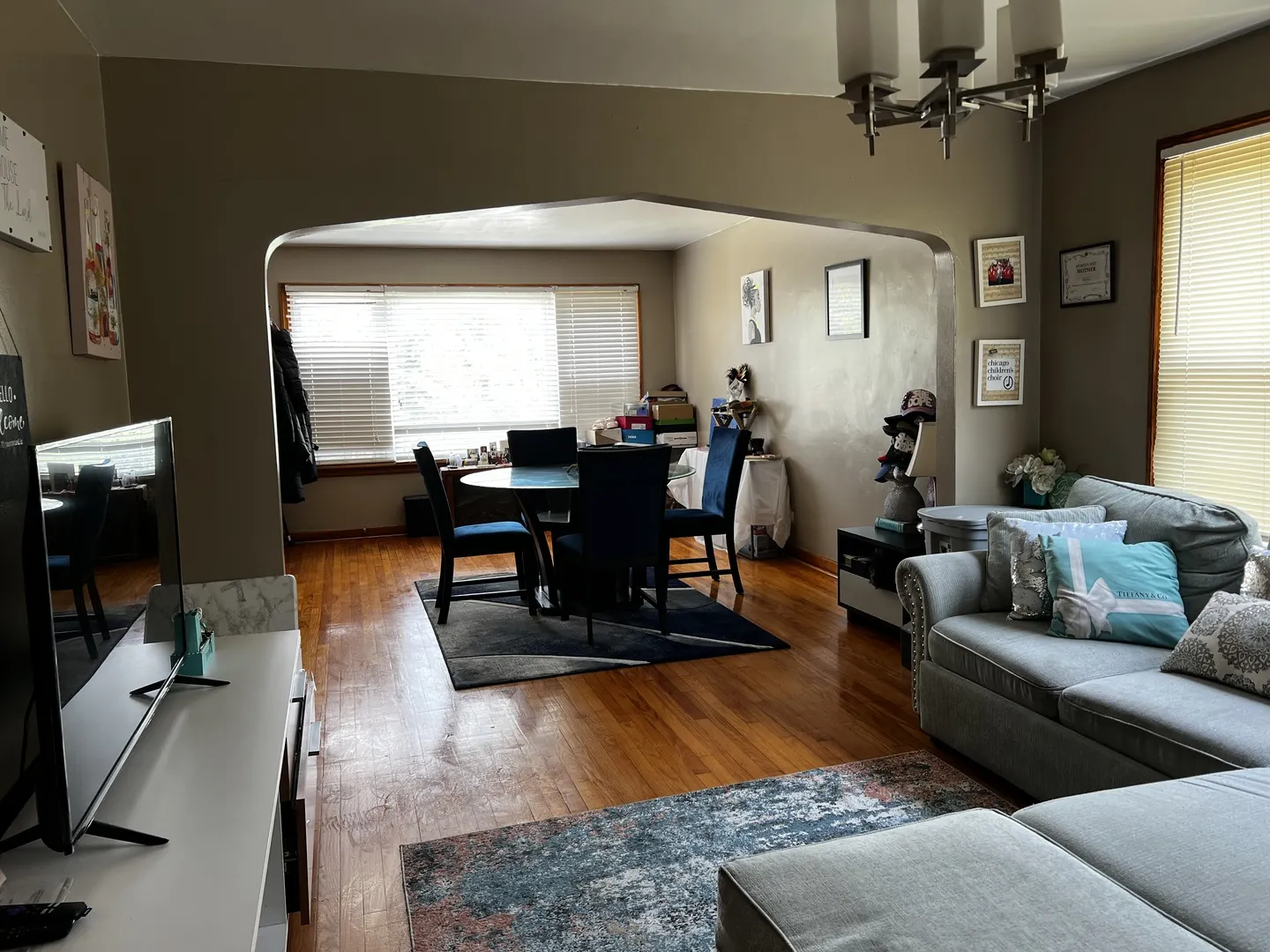 153 E 119th Street IL