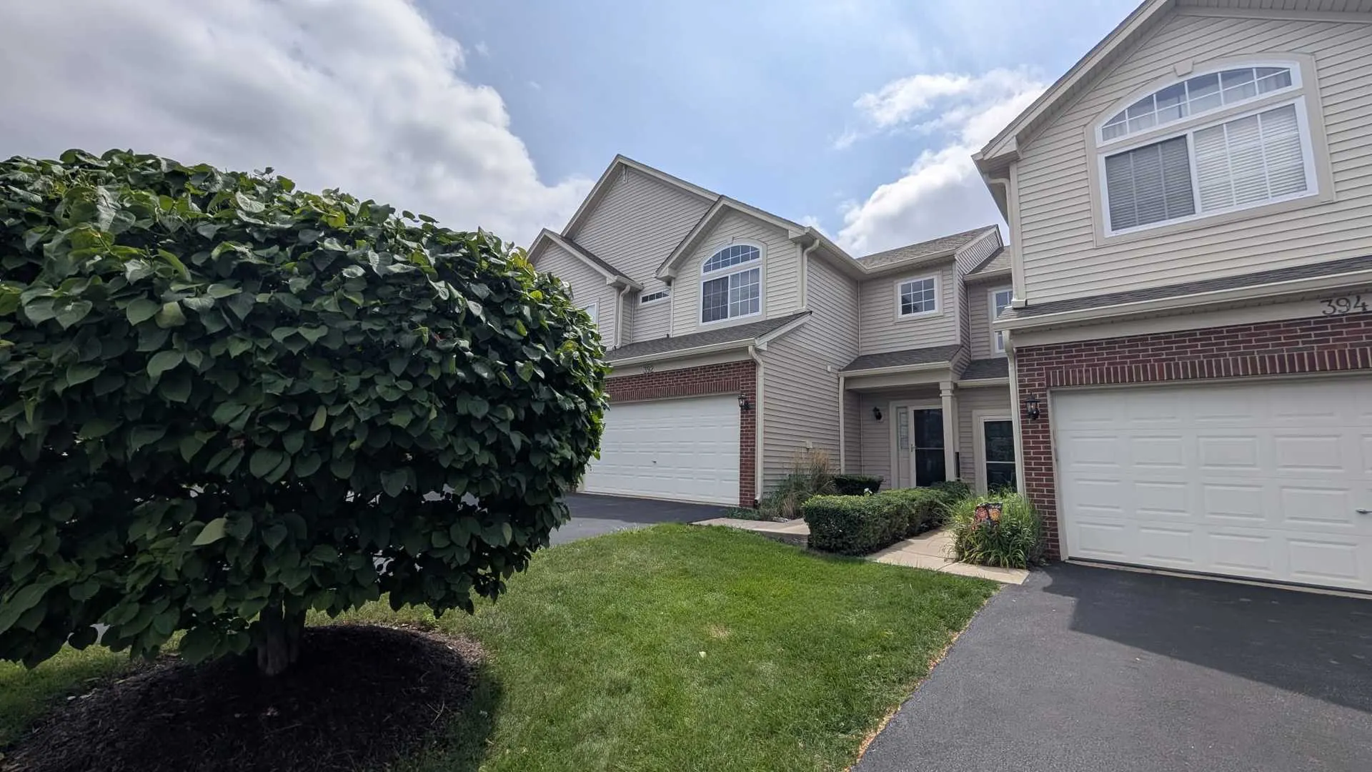 392 Abington Woods Drive IL