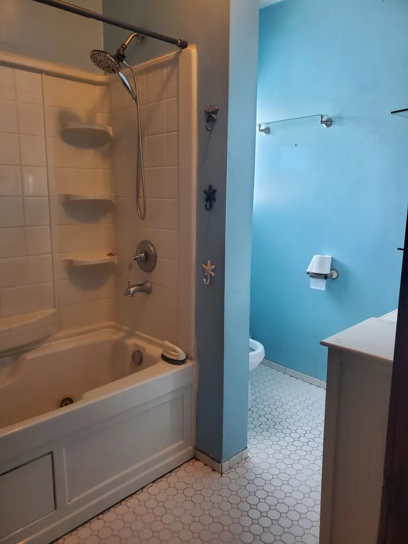 1254 W 31st Street IL
