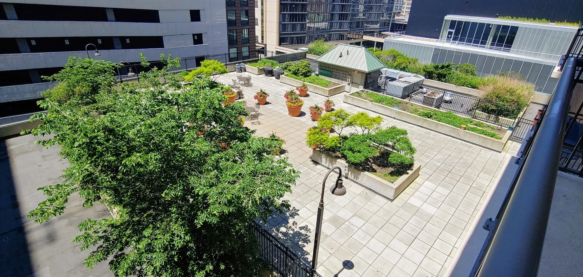 41 E 8th Street 805 IL