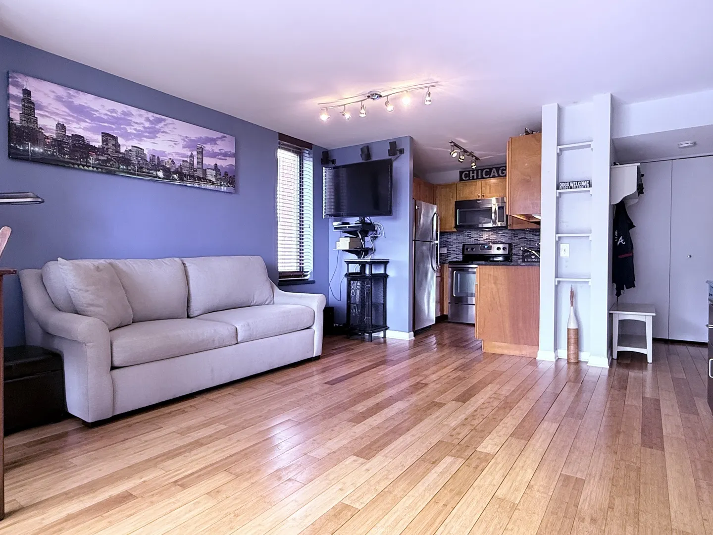 3660 N Lake Shore Drive 1309 IL