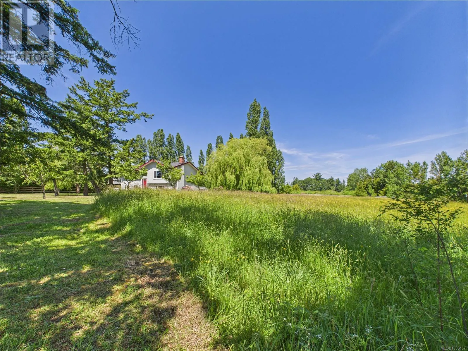 1920 MIlls Rd