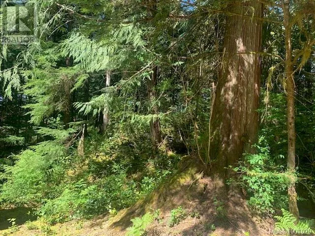58 Busby Island