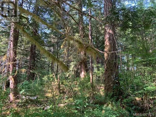 58 Busby Island
