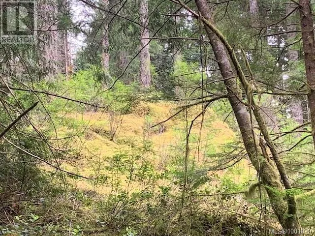 58 Busby Island