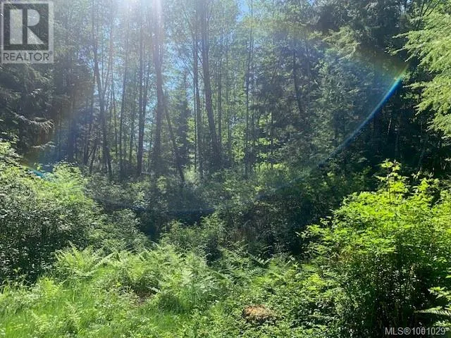 58 Busby Island