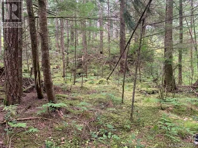 58 Busby Island