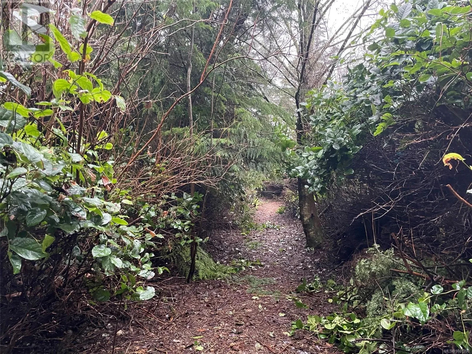 LOT 12 Marine Dr