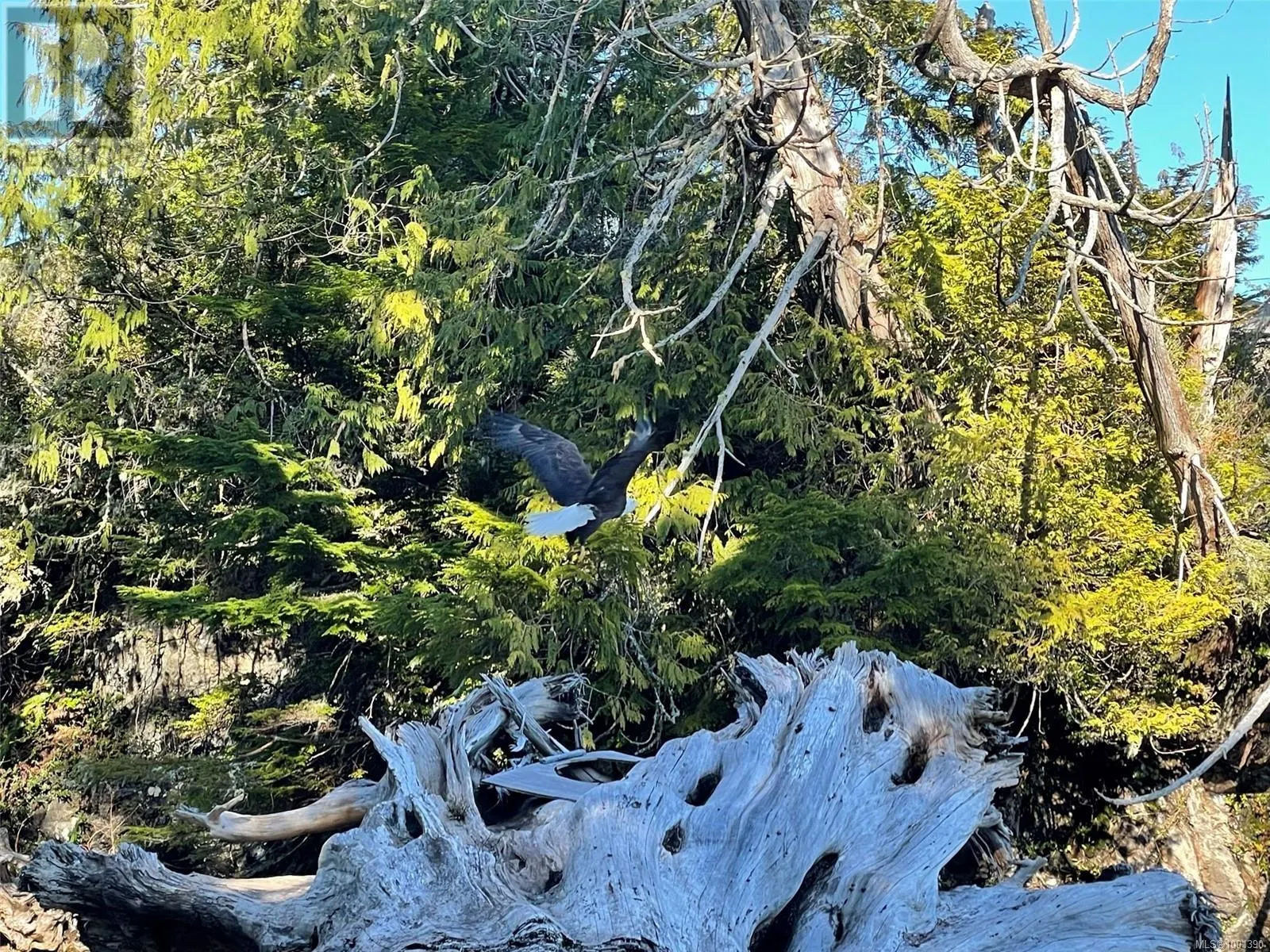 LOT 12 Marine Dr