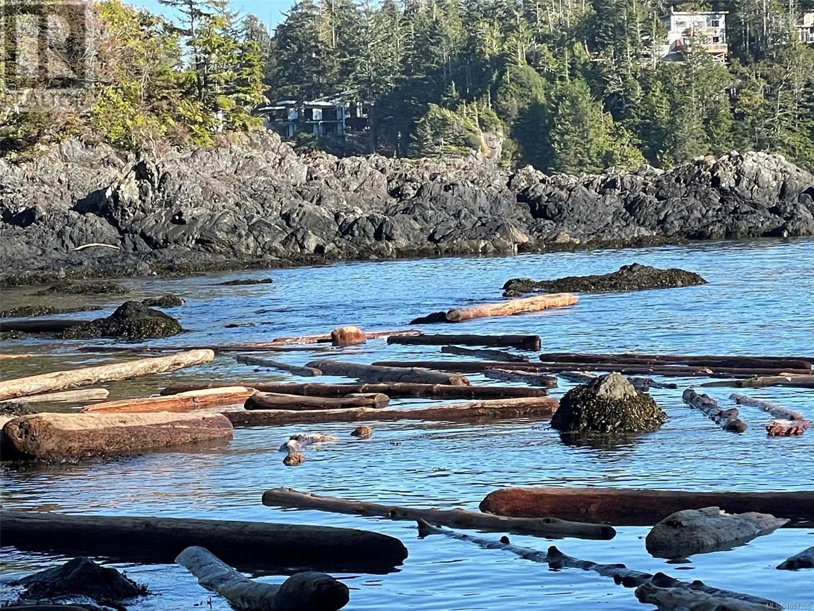 LOT 12 Marine Dr
