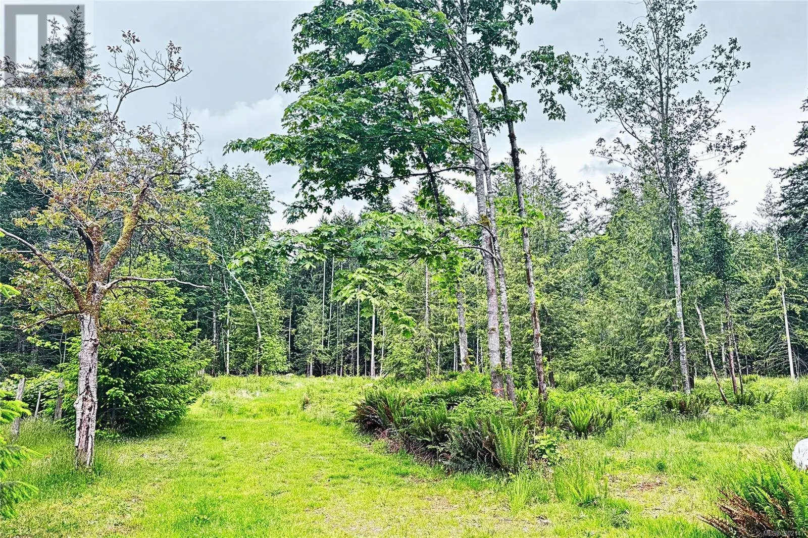 Lot B Island Hwy W