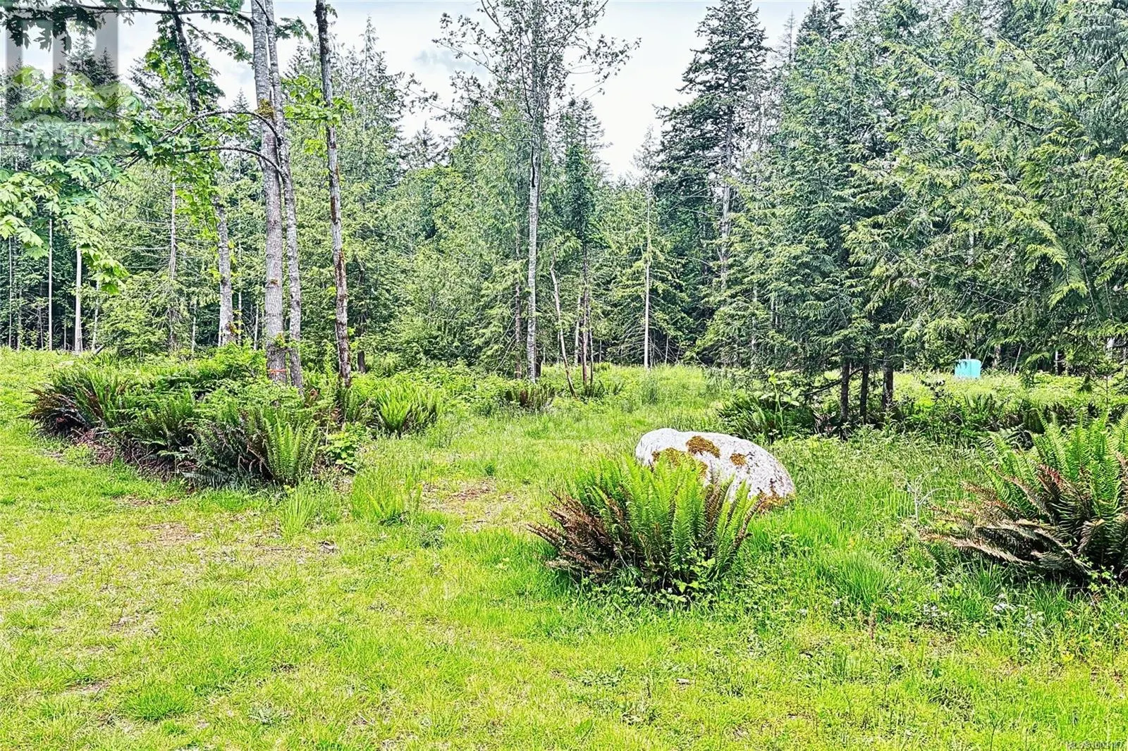 Lot B Island Hwy W