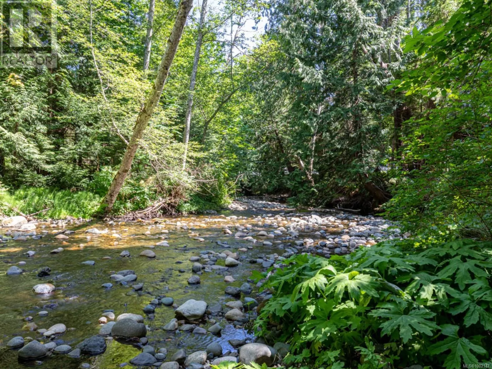 Lot B Island Hwy W