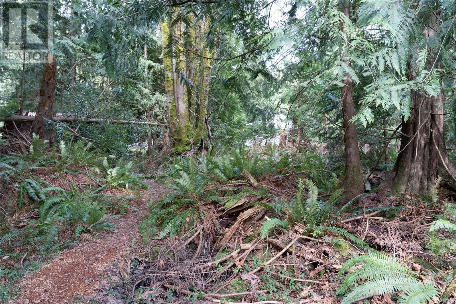 10741 Chemainus Rd