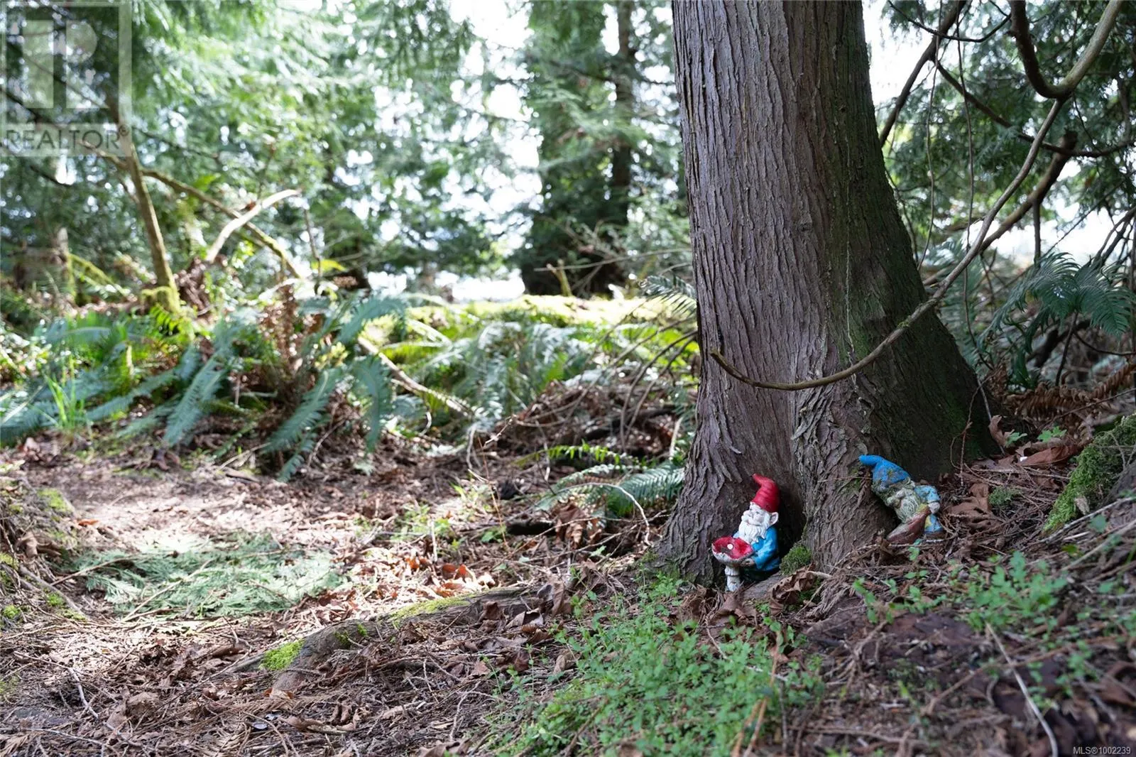 10741 Chemainus Rd