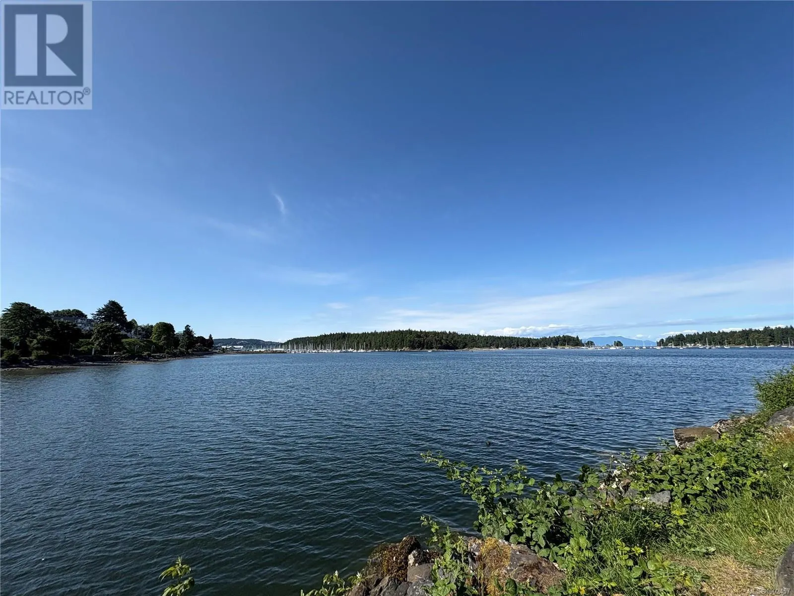 55 Comox Rd