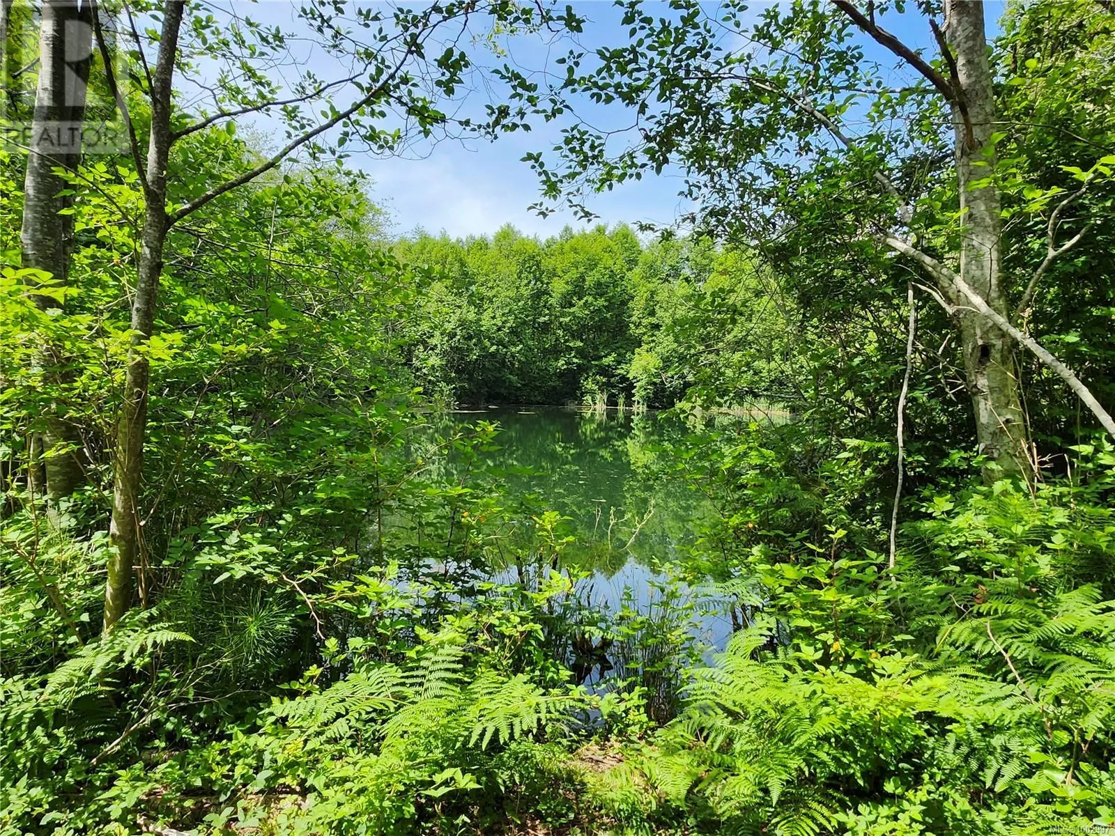 1075 SPIDER LAKE Rd