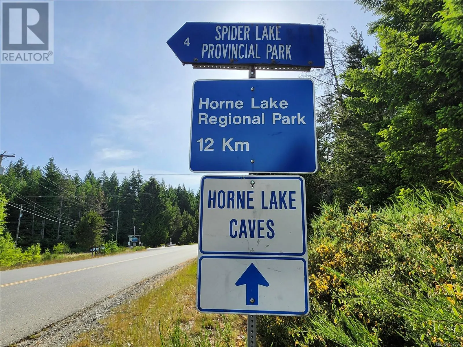 1075 SPIDER LAKE Rd