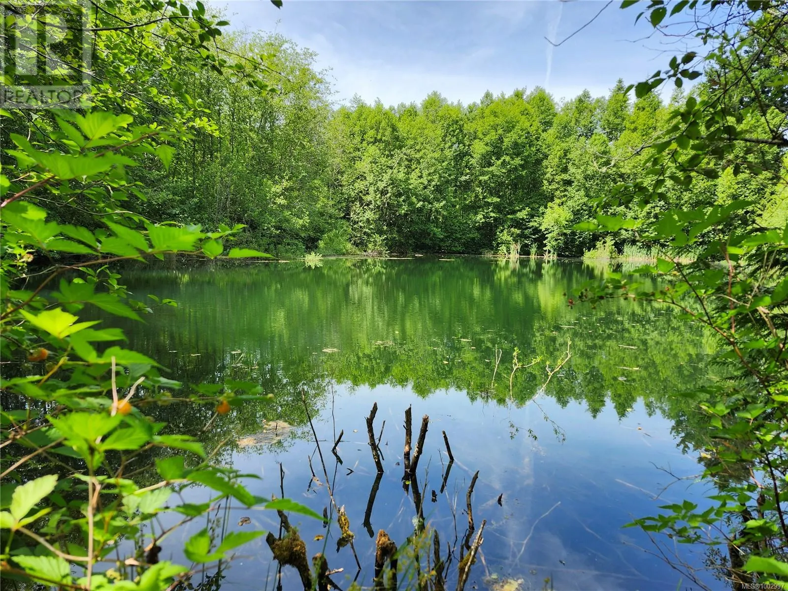 1075 SPIDER LAKE Rd