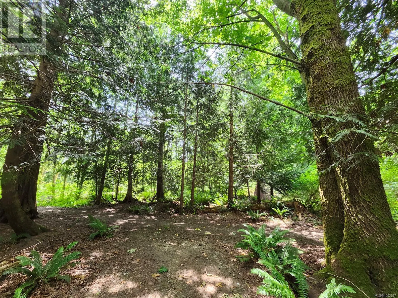 1075 SPIDER LAKE Rd
