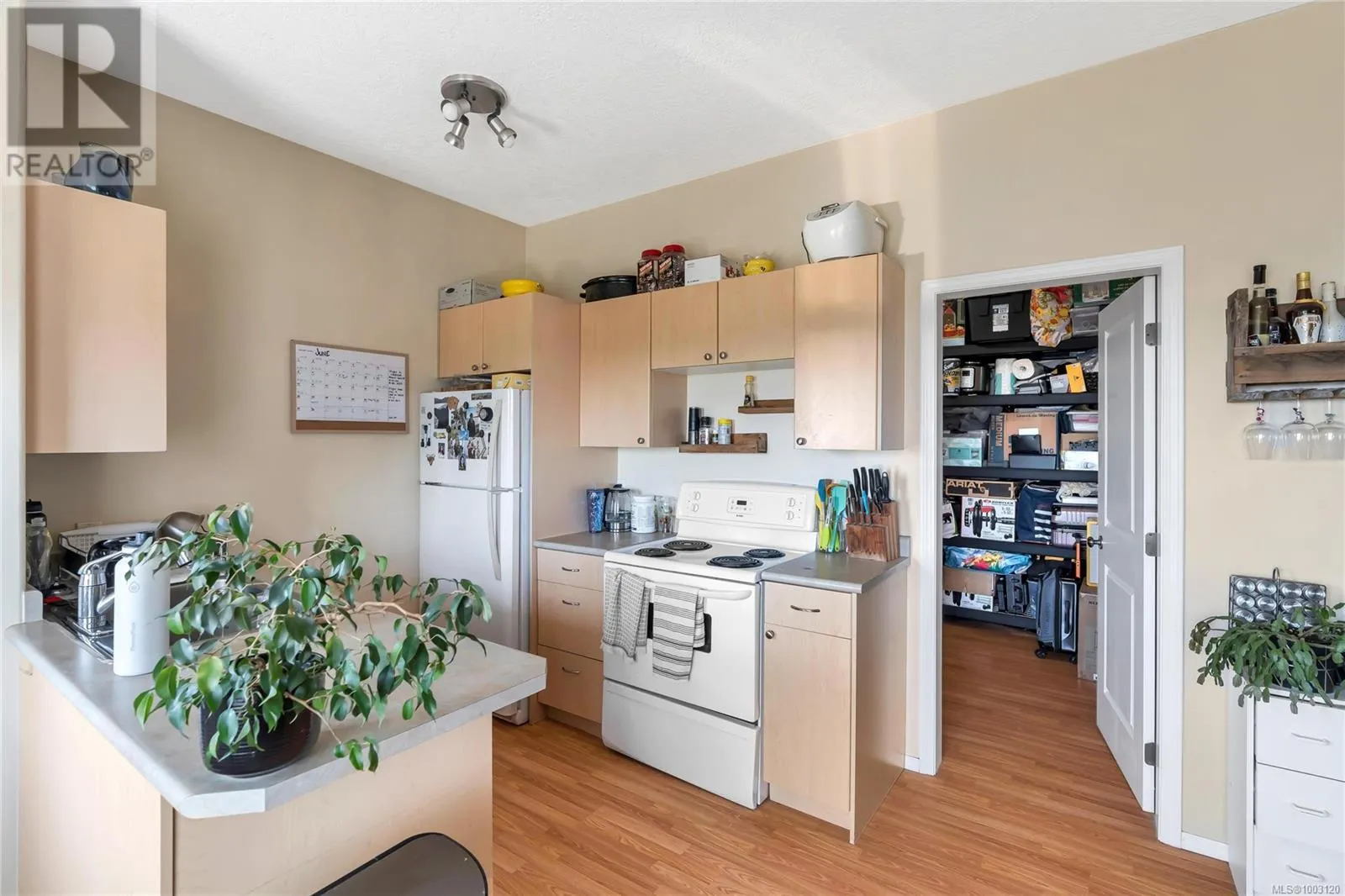 3352 Ravenwood Rd