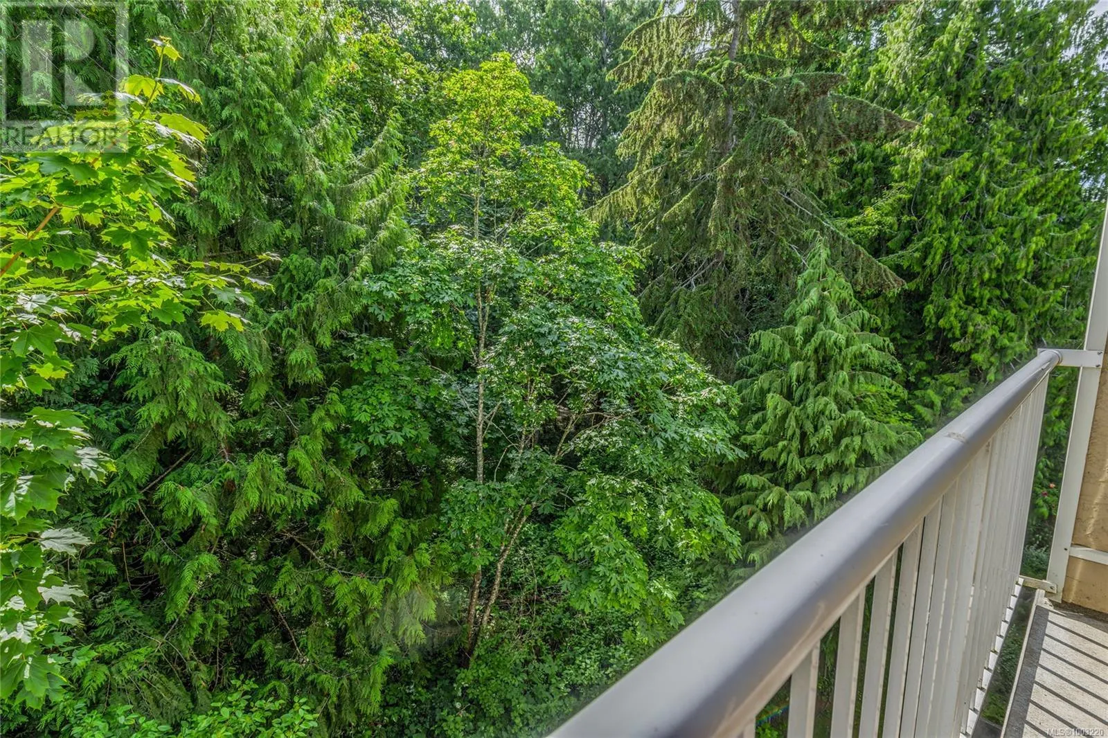 407 1187 Seafield Cres