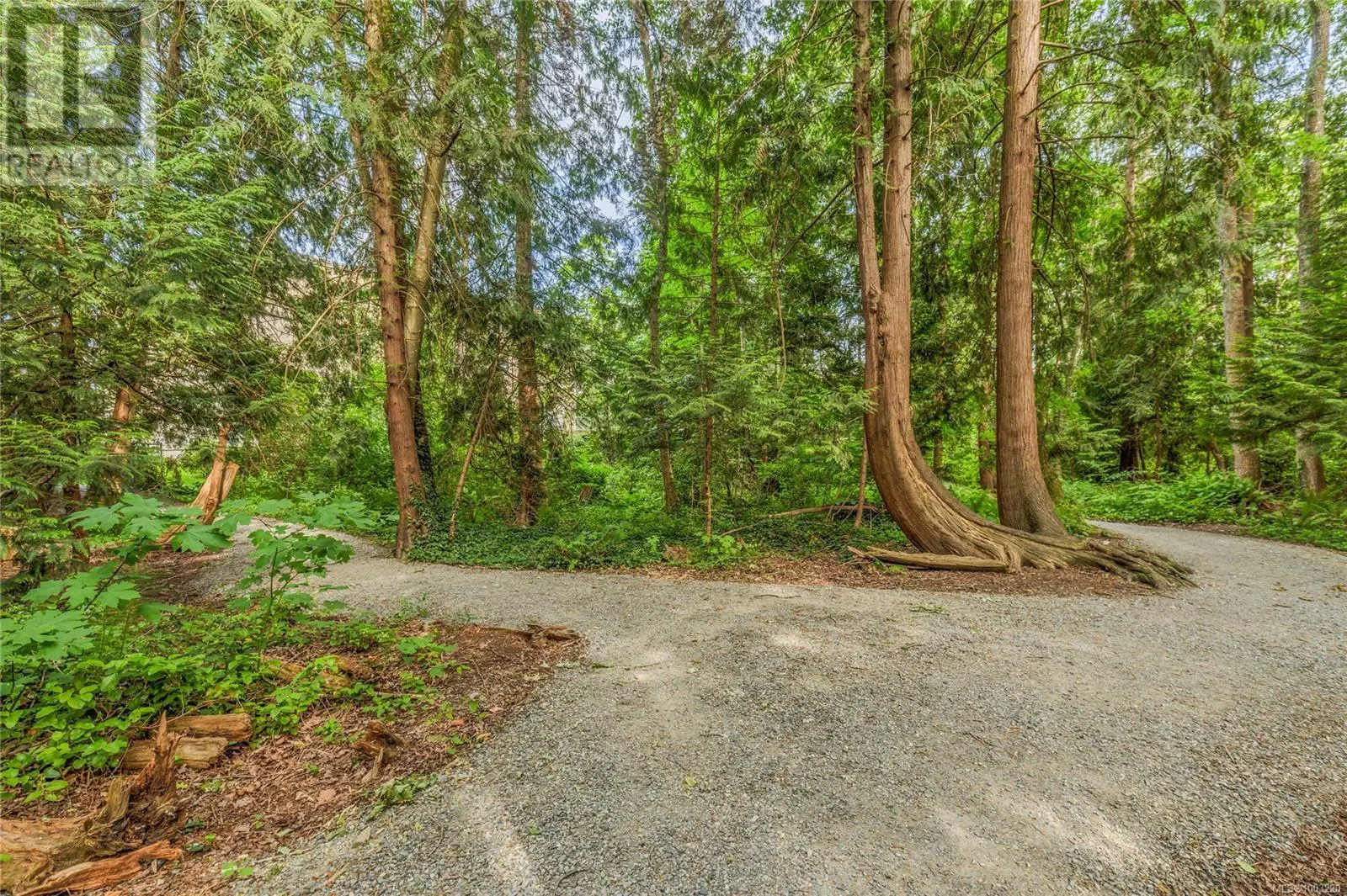 407 1187 Seafield Cres