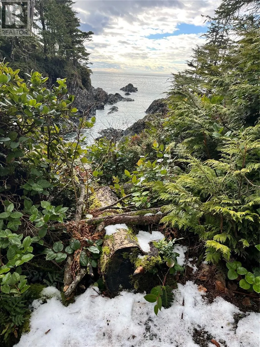 1104 596 Marine Dr