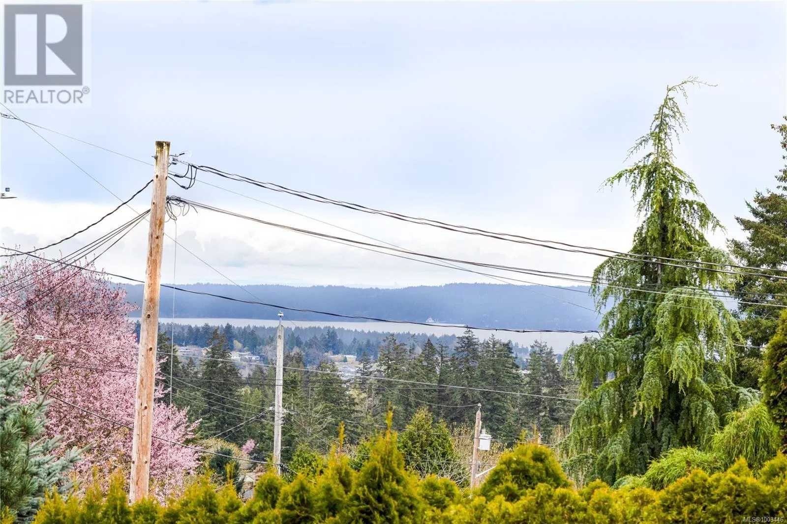 2331 Panorama View Dr