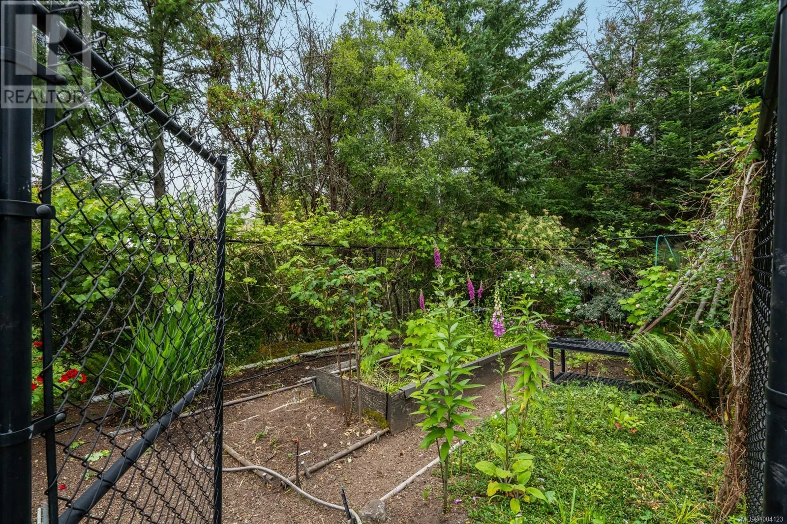11406 Sycamore Dr