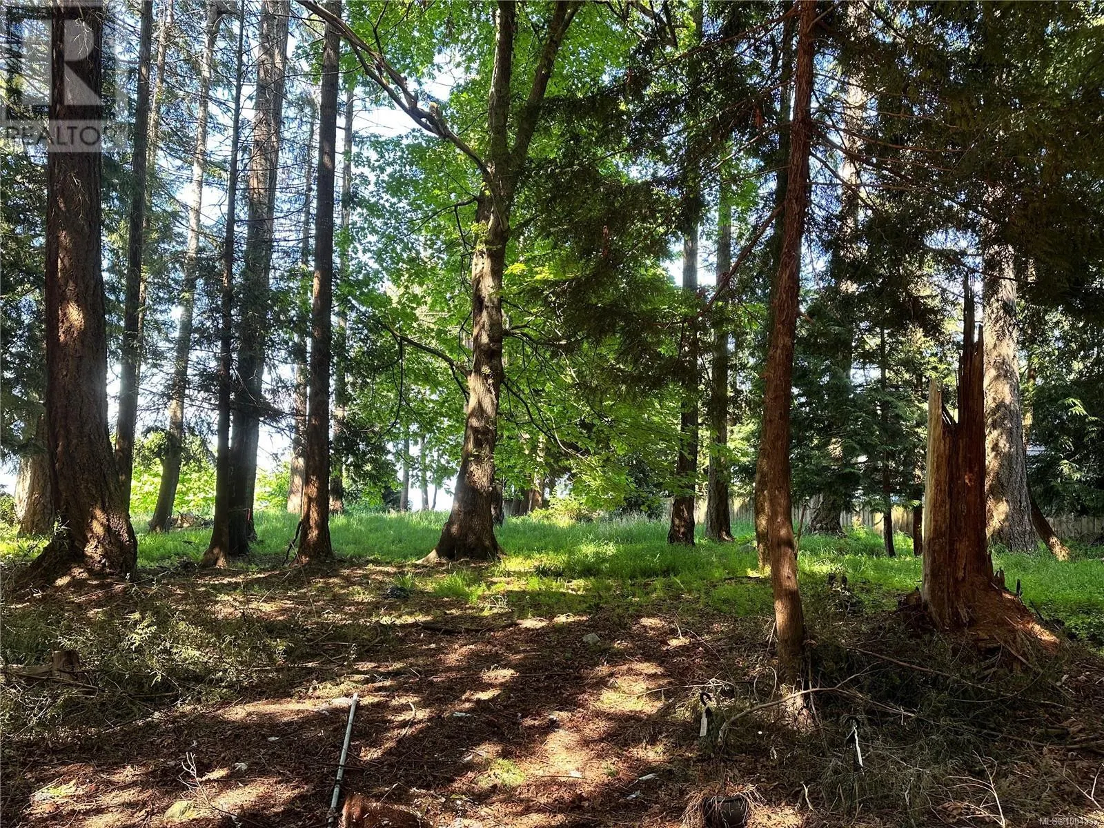 5942 Waldbank Rd