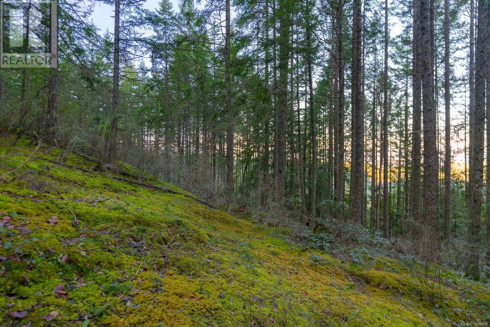 LOT 13 Longview Pl