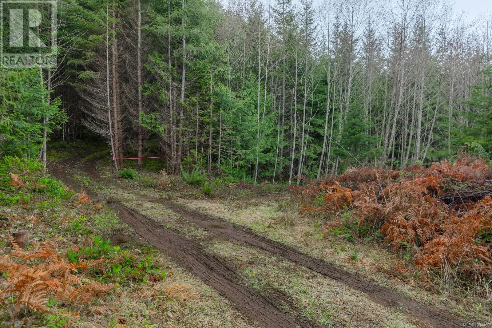 LOT 13 Longview Pl