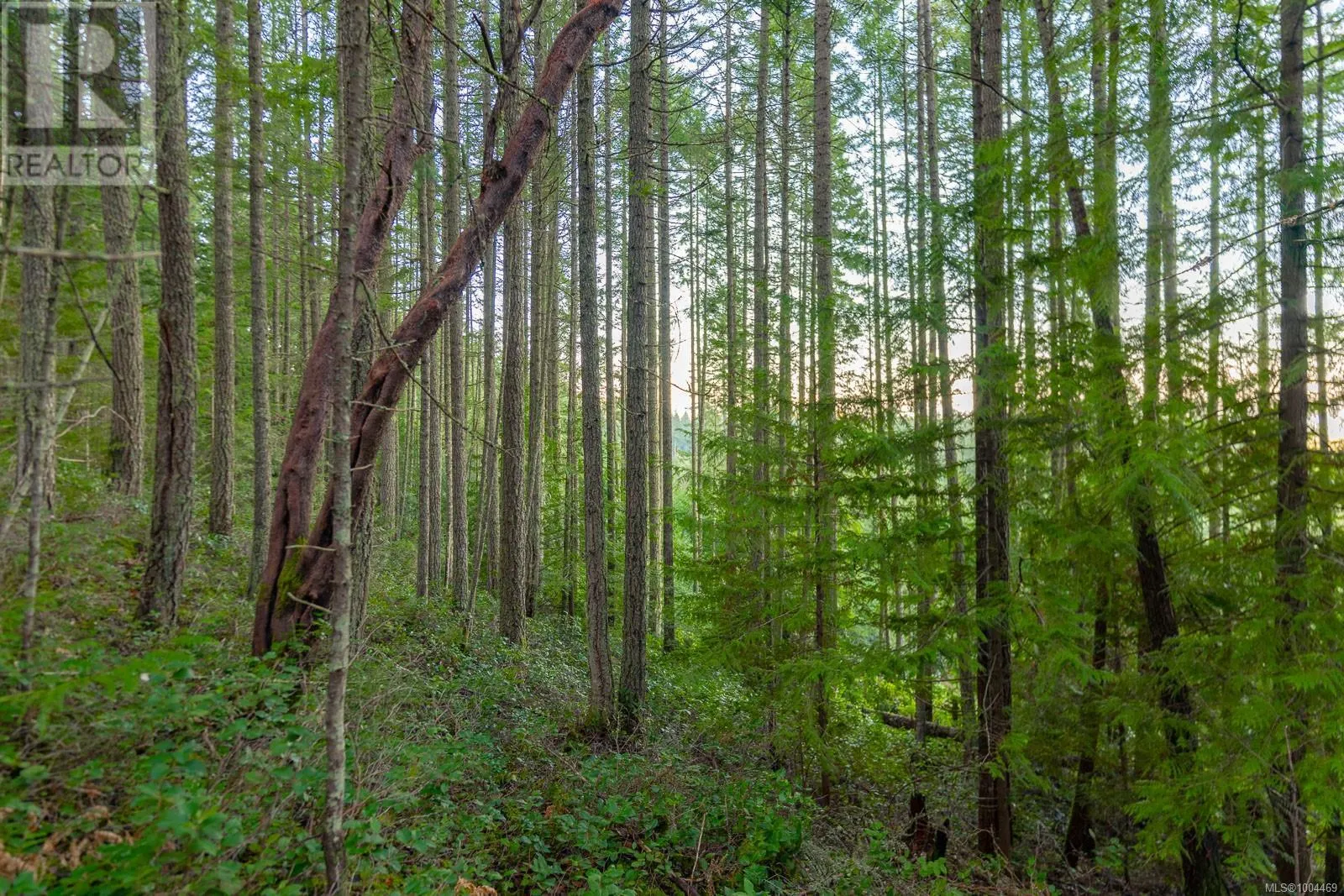 LOT 13 Longview Pl