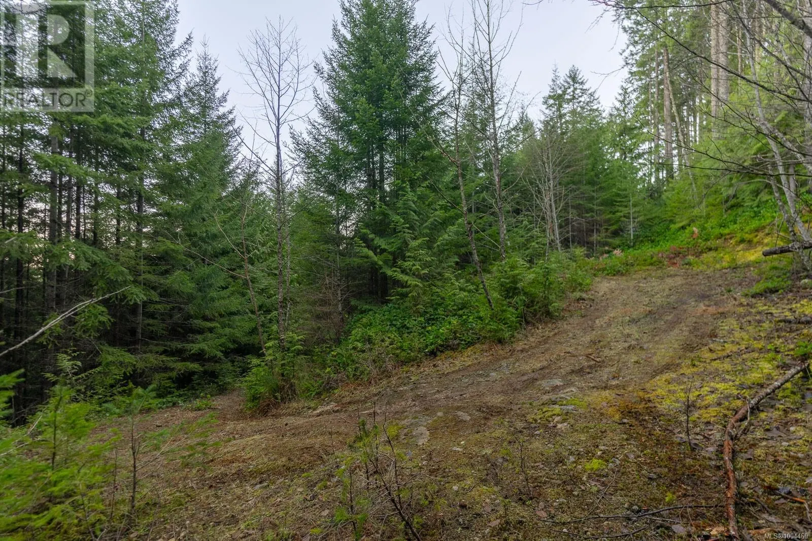 LOT 13 Longview Pl