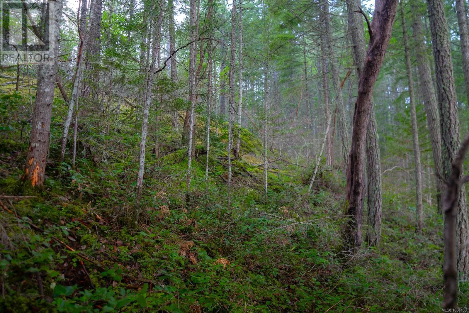 LOT 13 Longview Pl